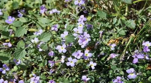 image03