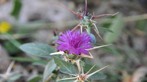 image03