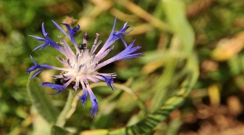 image03