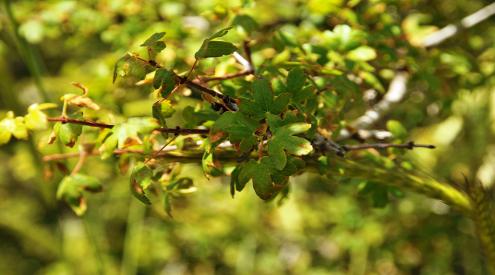 image03
