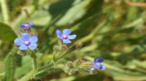 image03